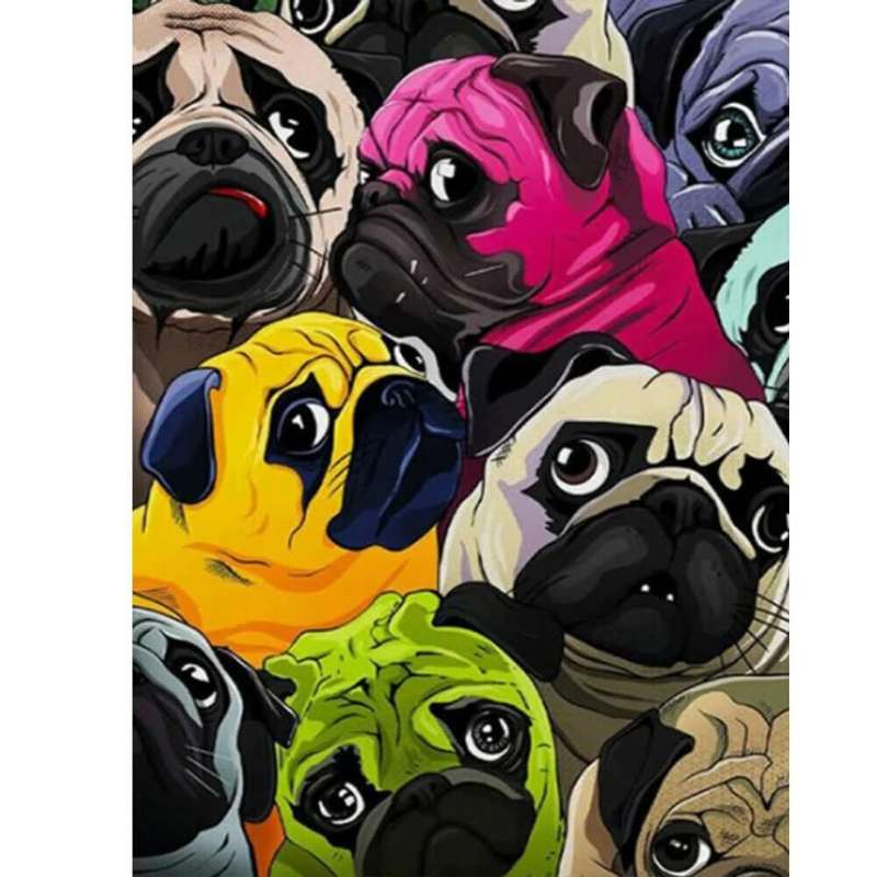 Demantasteina mynd Pug 20 litir