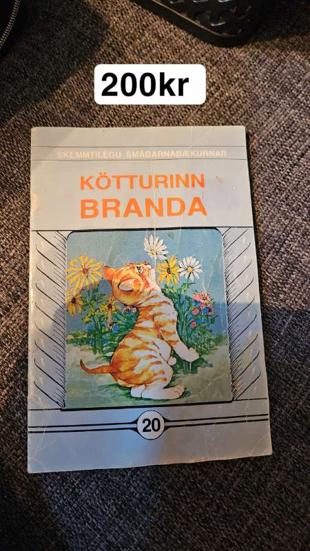 Bók Kötturinn Branda