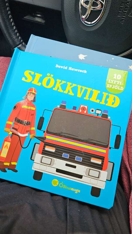 Bók sökkvilid