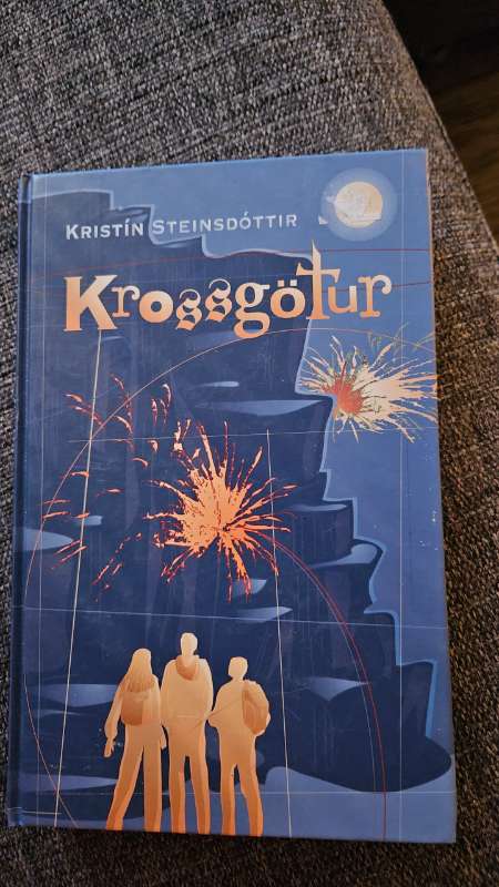 Krossgötur bók