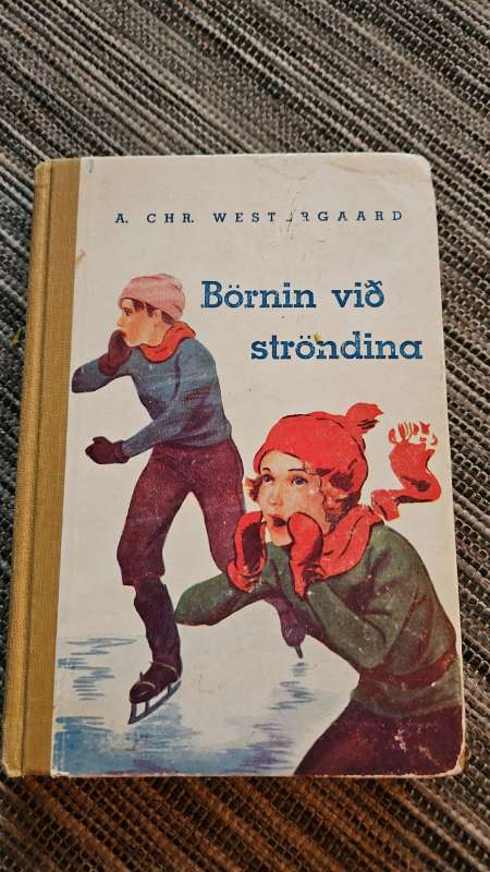 Börnin við ströndina bók