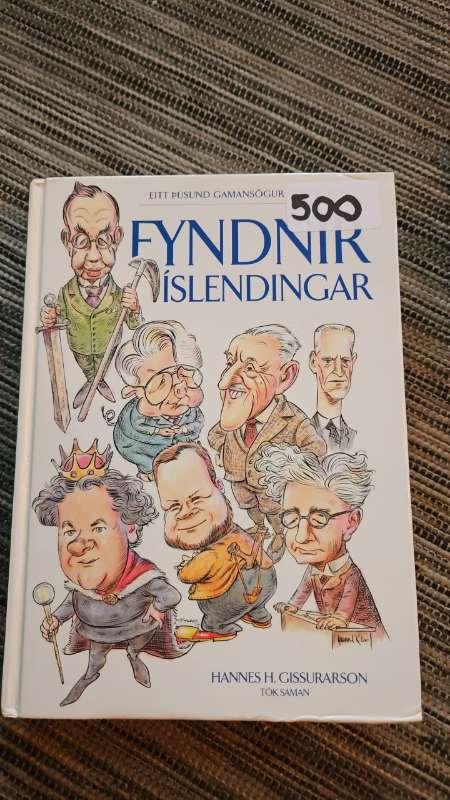 Fyndir íslendingar bók