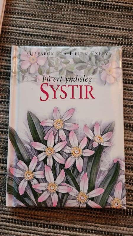 Þú ert yndisleg systir bók