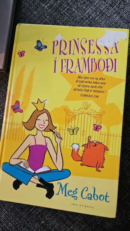 Prinsessa í framboði bók