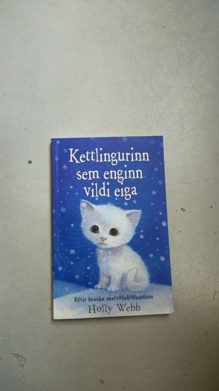Kettlingurinn bók