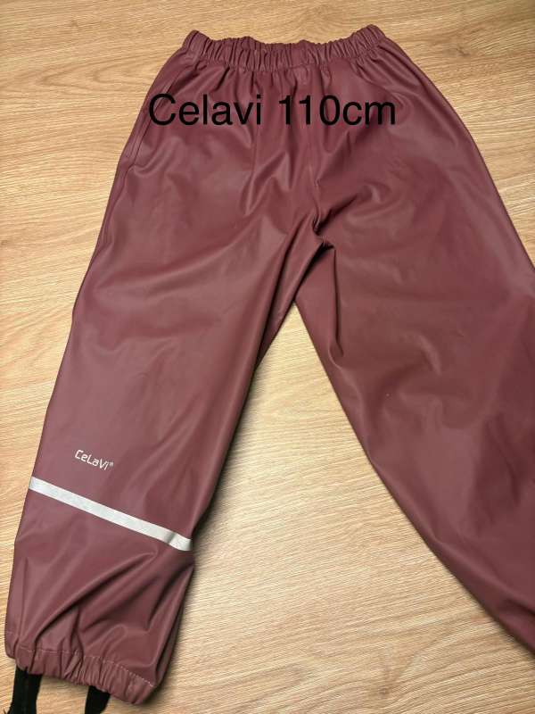 Celavi pollabuxur