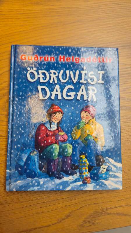 Öðruvísi dagar bók