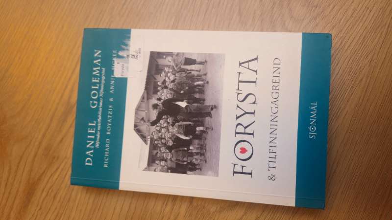 Forysta og tilfinningagreind bók