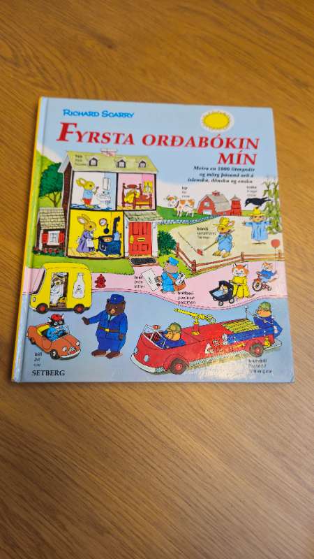 Fyrsta orðabókin mín