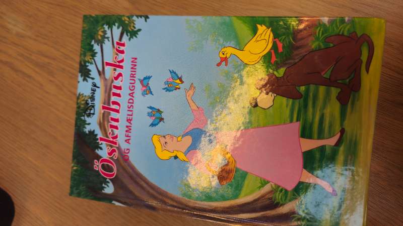 Disney bók öskubuska og afmælisdagurinn