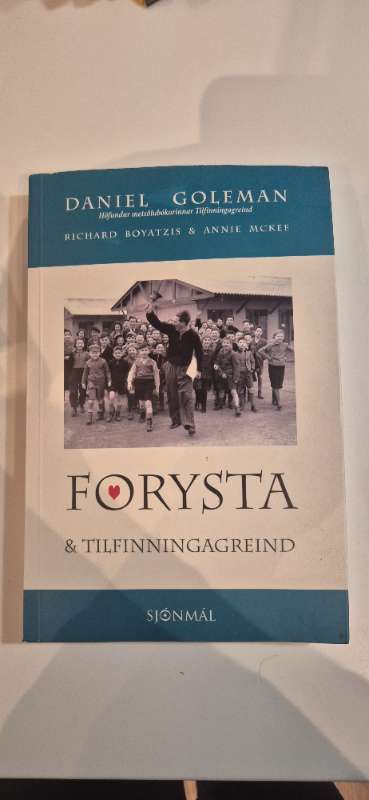 Forysta og tilfinningagreind