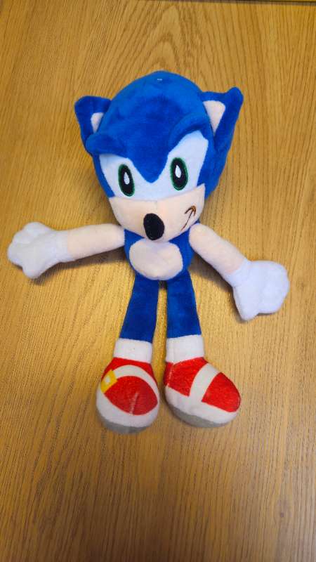 Sonic bangsi