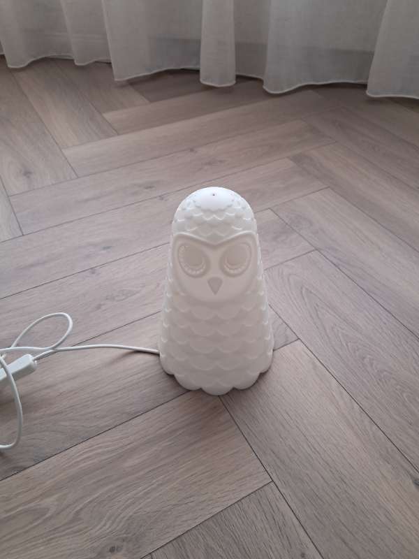 Lampi ugla