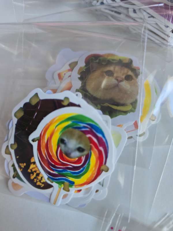 Cat stickers 10 pcs