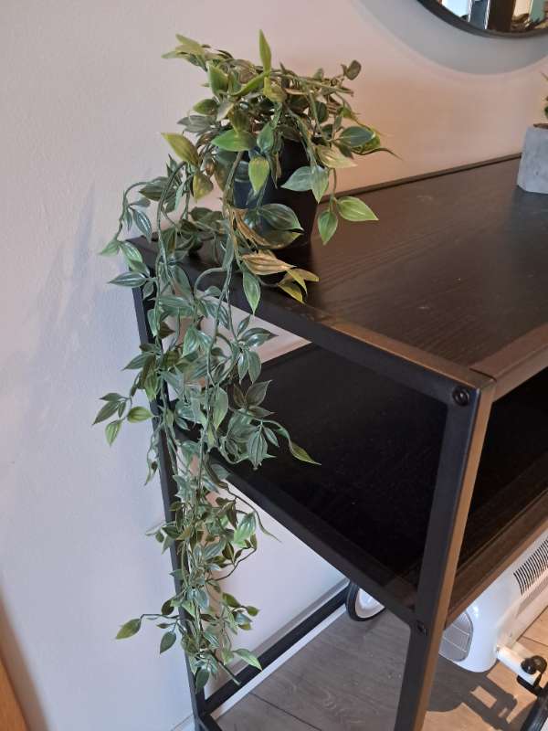 Gerviplanta