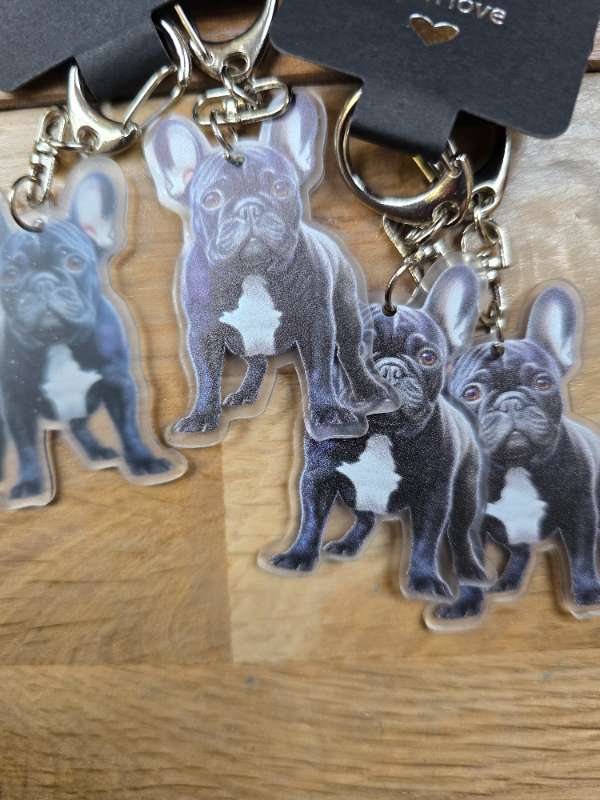Franskur bulldog lyklakippa