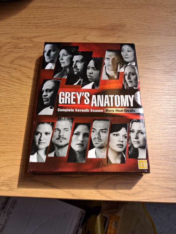 greys anatomy
