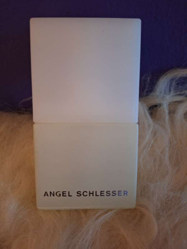 Angel Schlesser notað kannski 3x