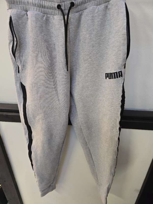 Puma buxur pínu lítill blettur
