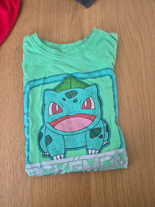 Pokemon grænn bolur