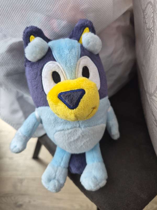 Bluey bangsi