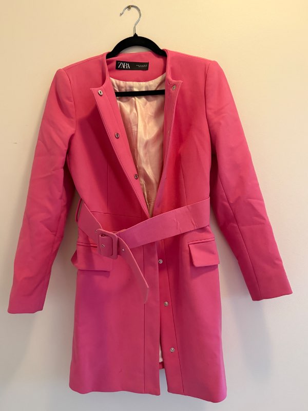 Zara pink coat dress