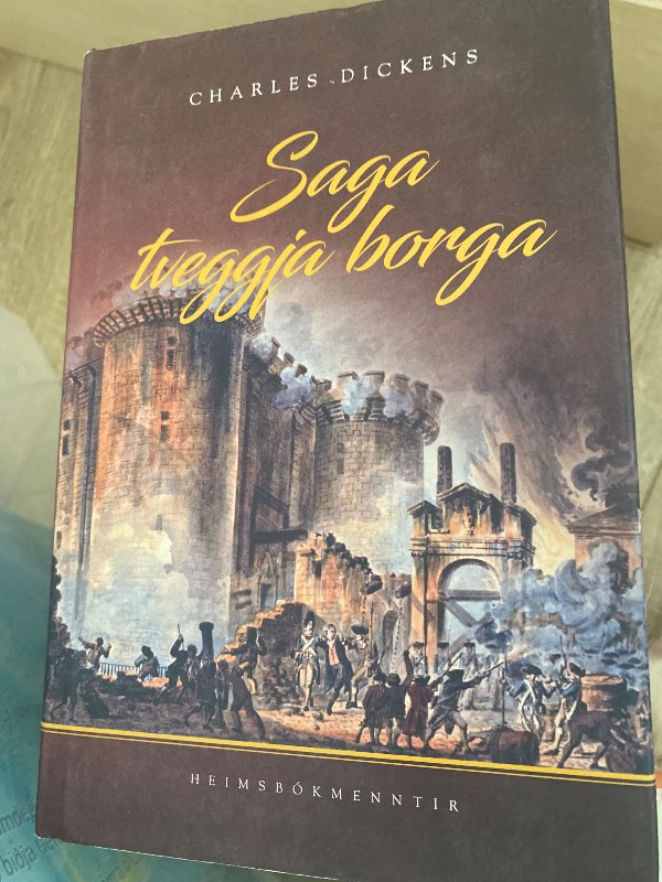 Saga tveggja borga bók