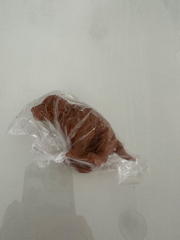 Hundur á tannkrem
