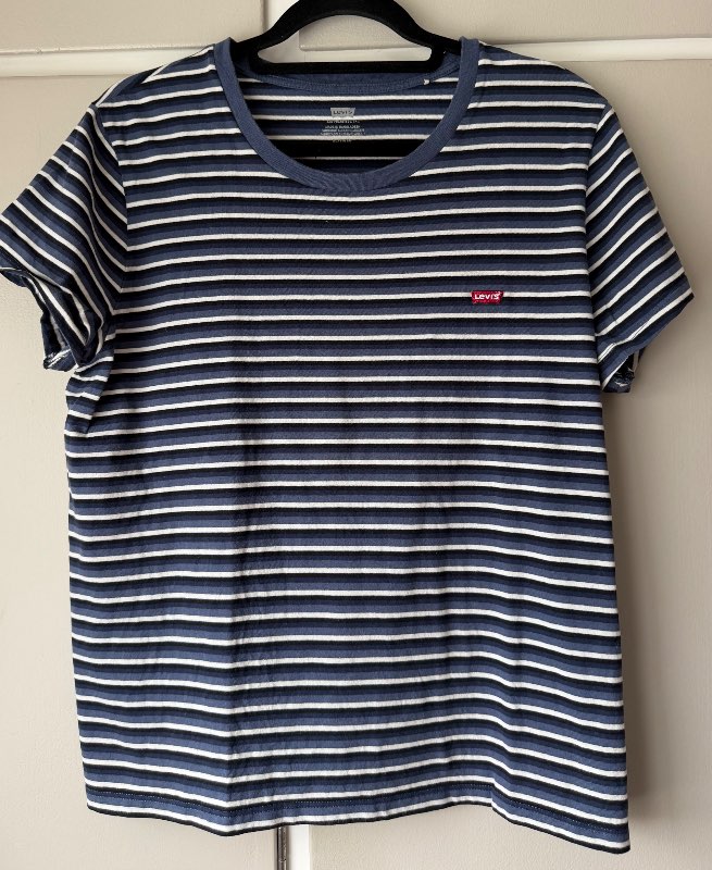 Levis dömu bolur