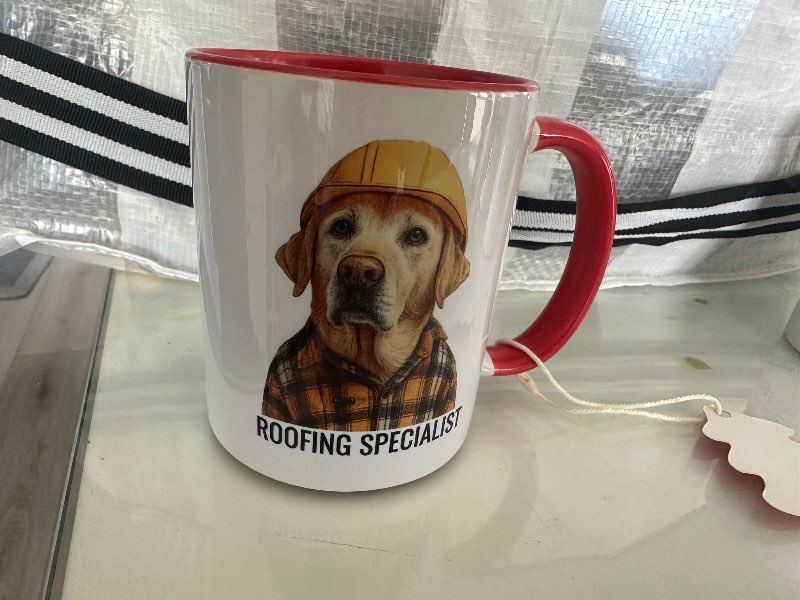 Labrador bolli nýr Roofing Specialist
