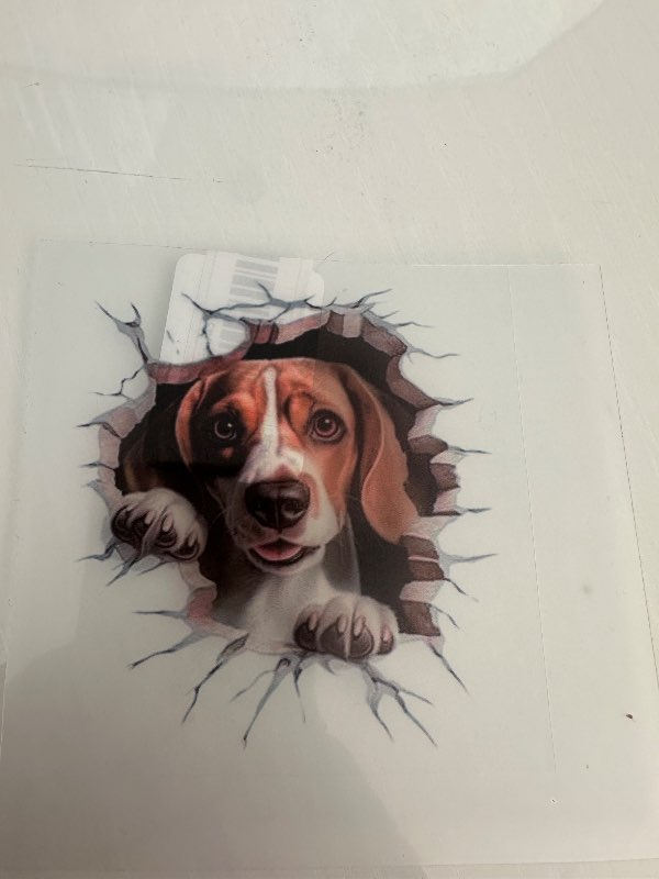 Beagle límmiði vatsheldur á bíl
