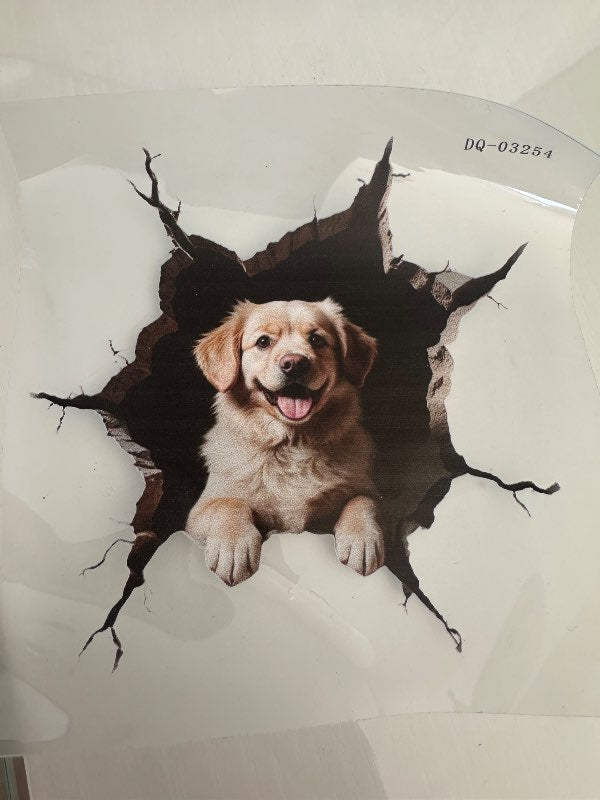 Ljós labrador bíla límmiði vatsheldur