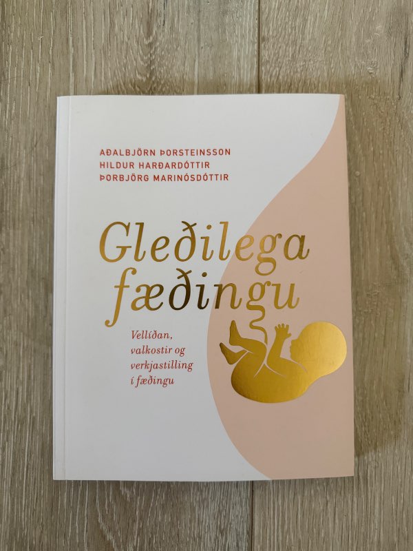 Gleðilega fæðingu - bók