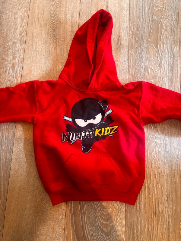 Ninja kids