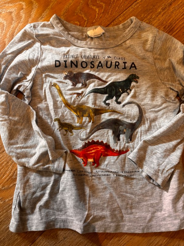 Dinosaur bolur