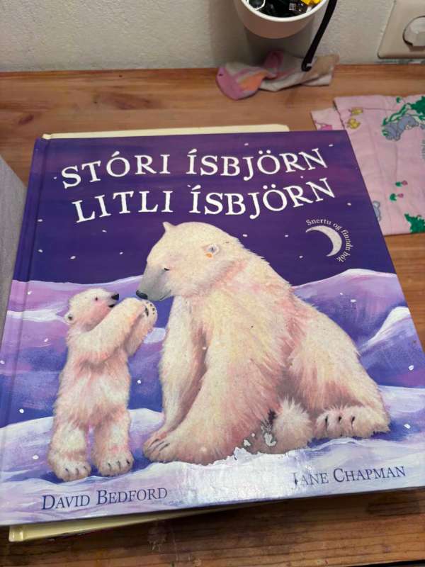 bók - stóri ísbjörn litli ísbjörn