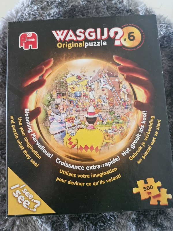 Wasgij Original puzzle #6