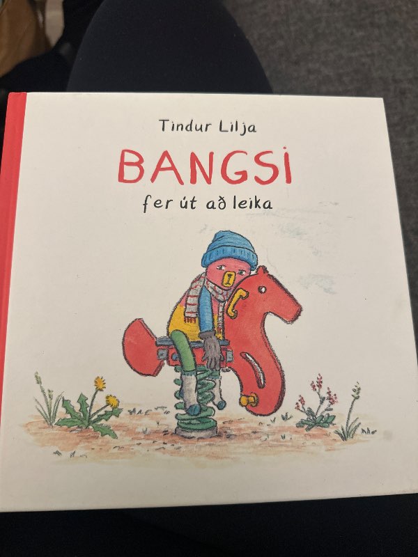 bangsi fer ut að leika bók