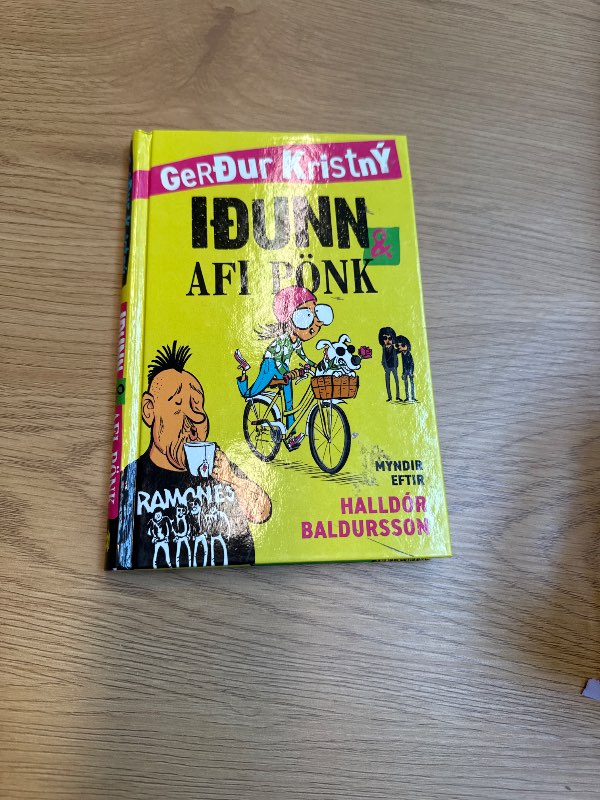 Iðunn afi pönk bok