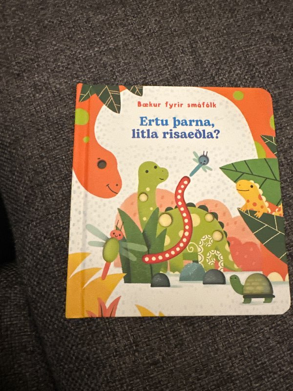 risaeðlu bók