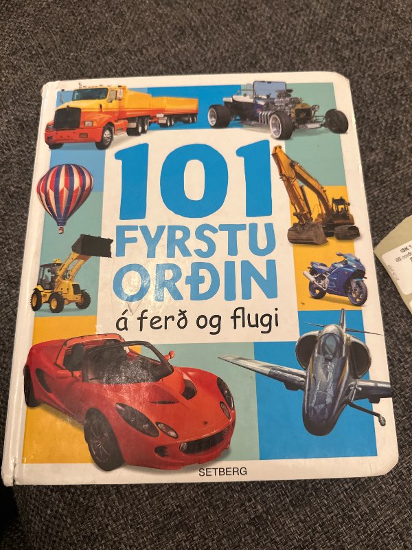 101 fyrstu orðin a ferð og flugi