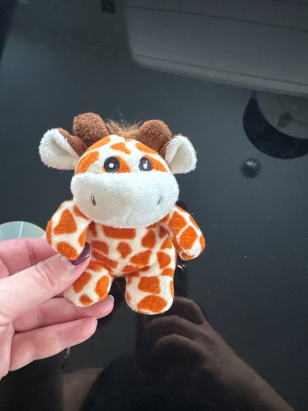 Giraffe toy