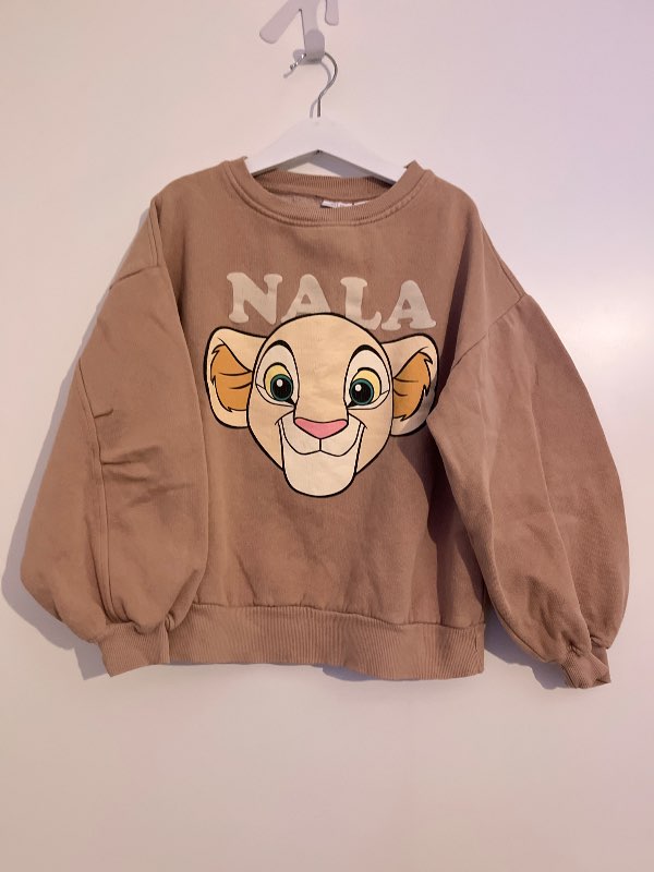 Zara Nala peysa