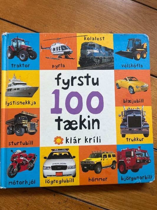 Fyrstu 100 tækin