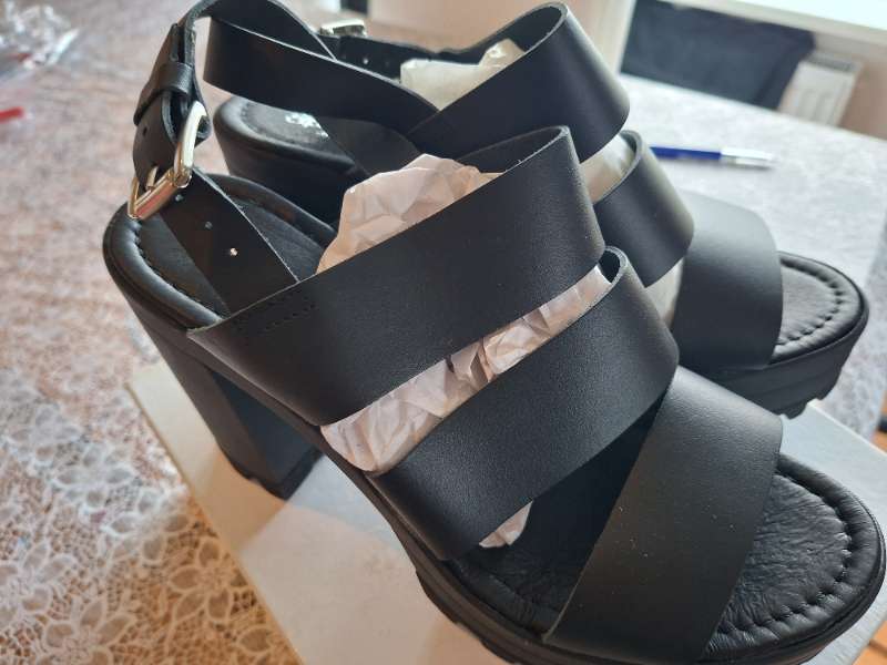 Ónot shoe the bear italy 41