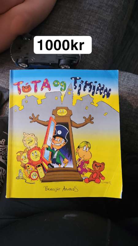 Bók Tòta og tíminn