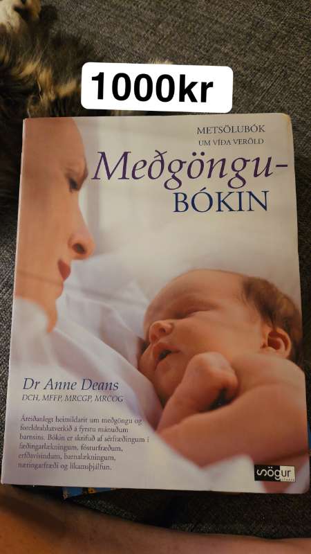 Bók Meðgöngubókin