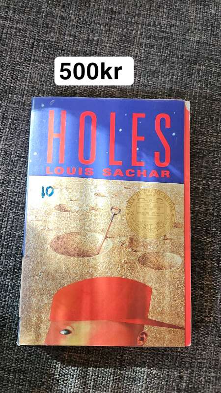 Bók Holes