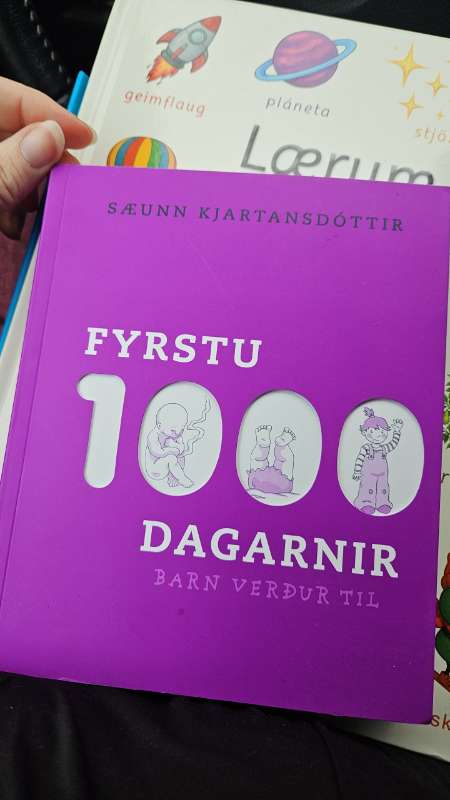 Fyrstu 1000dagarnir