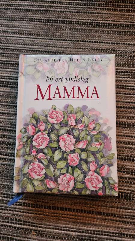 Þú ert yndisleg mamma bók